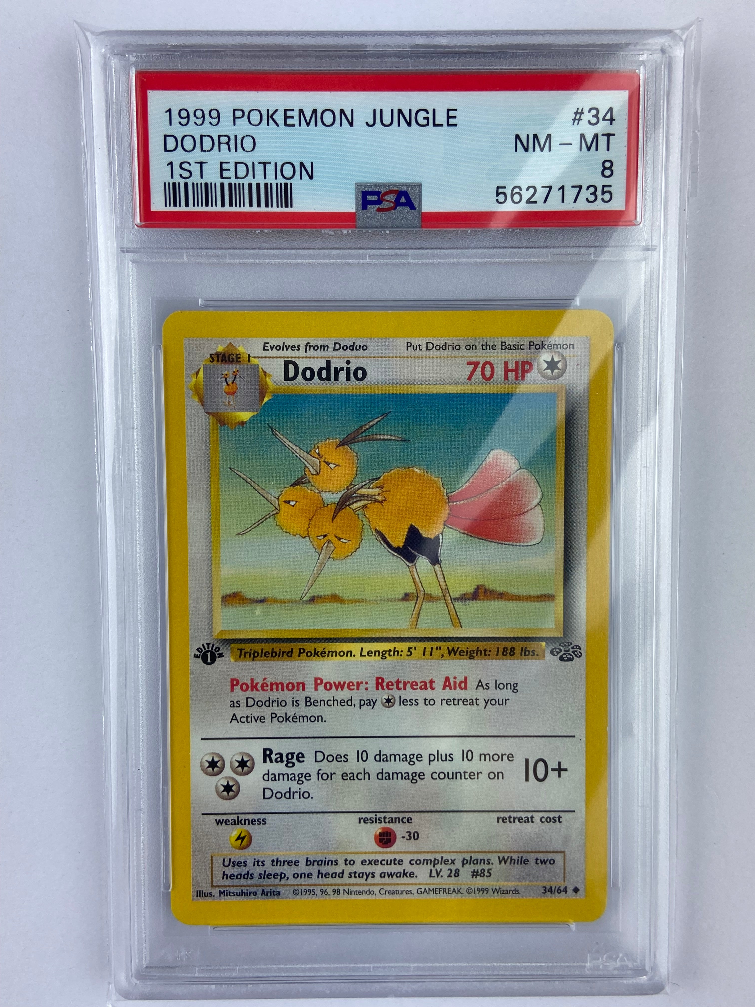 Dodrio Jungle 1st Edition 34/64 PSA 8